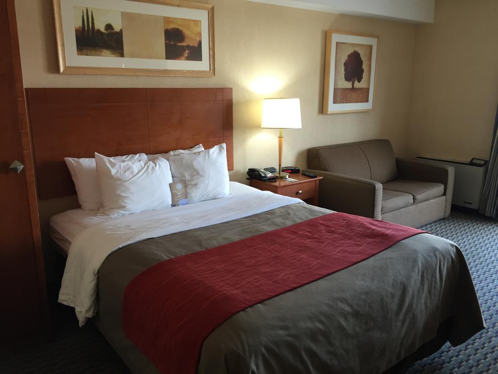Comfort Airport West Inn Mississauga
