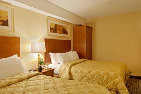 Comfort Airport West Inn 2*